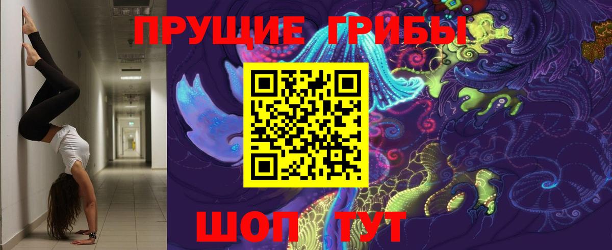 Шелехов  Псилоцибиновые грибы Magic Shrooms  Псилоцибиновые грибы прущие грибы  Вход с VPN 