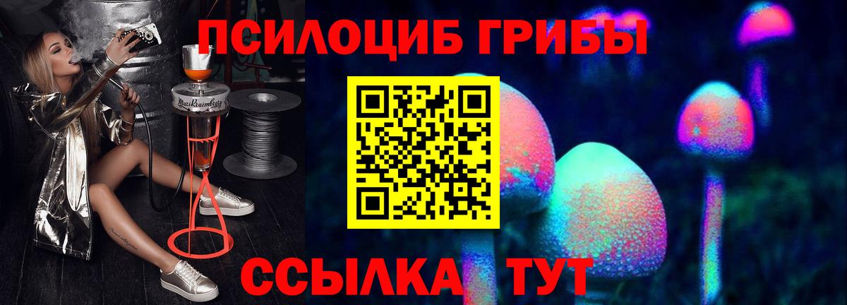 Псилоцибиновые грибы Psilocybe Шелехов